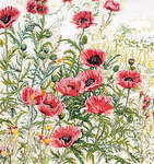 Click for more details of Pink Field Poppies (cross stitch) by Thea Gouverneur