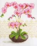 Click for more details of Pink Orchid (cross stitch) by Vervaco