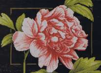 Click for more details of Pink Peony (cross stitch) by Lanarte