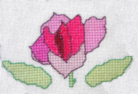 Pink Rose Motif