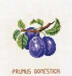 Click for more details of Plums (cross stitch) by Eva Rosenstand