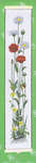 Click for more details of Poppies and Daisies Bell Pull (cross stitch) by Eva Rosenstand
