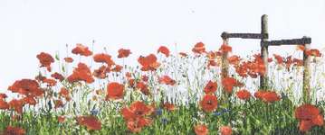 Click for more details of Poppies (cross stitch) by Thea Gouverneur