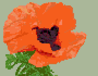 Click/tap for more details of Poppy (cross stitch) by Anne Peden