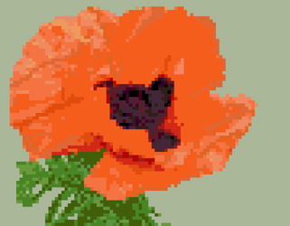 Click for more details of Poppy (cross stitch) by Anne Peden