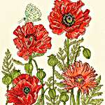 Click for more details of Poppy Garden (cross stitch) by Bothy Threads