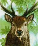 Click for more details of Proud Red Deer (cross stitch) by Lanarte
