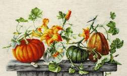 Click/tap for more details of Pumpkins (cross stitch) by Luca - S