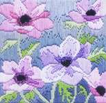 Purple Anemones