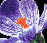 Click for more details of Purple Crocus (cross stitch) by Thea Gouverneur