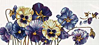 Click for more details of Purple Pansies (cross stitch) by Needleart World