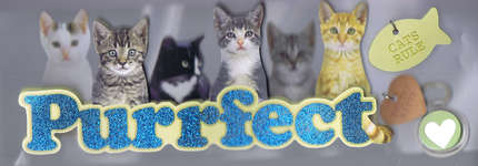 Click for more details of Purrfect 3D Title (embellishments) by Paper House Productions