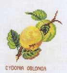 Click for more details of Quince (cross stitch) by Eva Rosenstand