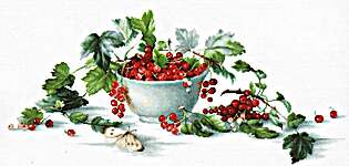 Click for more details of Red Currants (cross stitch) by Luca - S