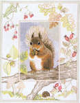 Click for more details of Red Squirrel (cross stitch) by Rose Swalwell
