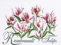 Click for more details of Rembrandt Tulips (cross stitch) by Thea Gouverneur