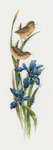 Click/tap for more details of Rhapsody in Blue (cross stitch) by Valerie Pfeiffer