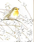 Click for more details of Robin (cross stitch) by Marjolein Bastin