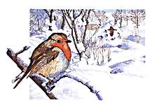 Click for more details of Robin in Winter (cross stitch) by Permin of Copenhagen