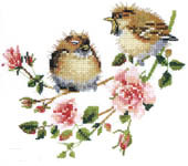 Rose Chick-Chat