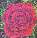 Click for more details of Rose (cross stitch) by Cross Eyed Kat