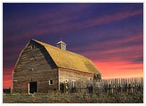 Click for more details of Ruby`s Barn (photograph) by Margaret Elliot