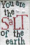 Click/tap for more details of Salt (cross stitch) by Lucy Beam