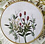 Click for more details of Sanguisorba & Chamomile (embroidery) by Anchor