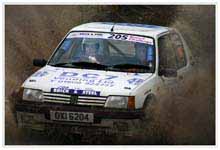 Click for more details of Scottish Rally 2007 Brick and Steel (photograph) by Margaret Elliot