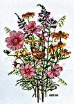 Click for more details of September Flowers and Wren (cross stitch) by Merejka