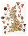 Click for more details of Sheep Map of Britain (cross stitch) by Thea Gouverneur