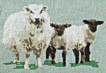 Click for more details of Sheep with Twin Lambs (cross stitch) by Anne Peden