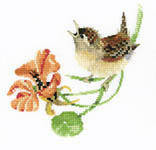 Click for more details of Simply Wren (cross stitch) by Valerie Pfeiffer