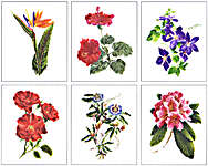 Click for more details of Six Floral Studies (cross stitch) by Thea Gouverneur