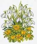 Click for more details of Snowdrops and Winter Aconite (cross stitch) by Eva Rosenstand