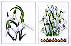 Snowdrops - 18 count Black Aida