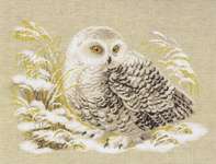 Click/tap for more details of Snowy Owl (cross stitch) by Riolis