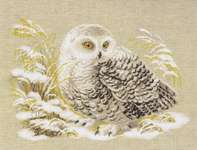 Click for more details of Snowy Owl (cross stitch) by Riolis