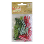 Special Delivery Mini Pegs x 35