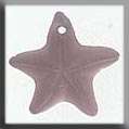 Star Fish Treasure