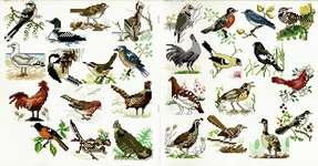 Click/tap for more details of State Birds (cross stitch) by Stoney Creek