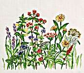 Click for more details of Summer Wild Flowers (cross stitch) by Permin of Copenhagen
