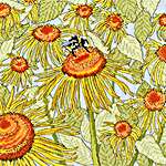 Click for more details of Sunflower Garden (cross stitch) by Bothy Threads