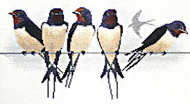 Click for more details of Swallows (cross stitch) by Rose Swalwell