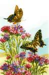 Click/tap for more details of Swallowtails (cross stitch) by Vervaco