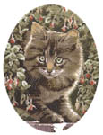 Click for more details of Tabby Kitten (cross stitch) by John Stubbs