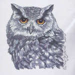 Click for more details of Tawny Owl (cross stitch) by Permin of Copenhagen