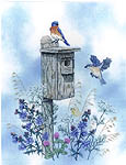 Click for more details of The Bluebird Trail (cross stitch) by Crossed Wing Collection