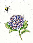 Click for more details of The Busy Bee (cross stitch) by Bothy Threads