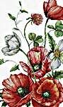 The Field Poppies